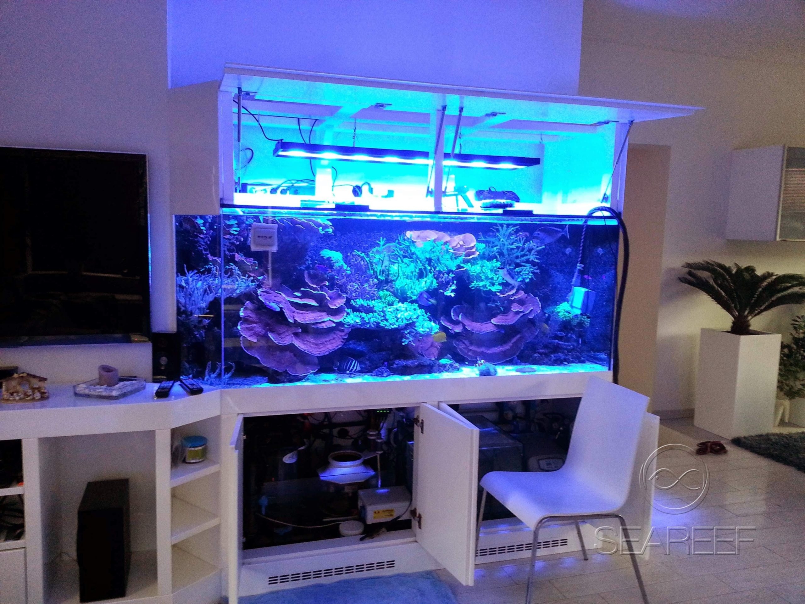 Mořské 1200 litrové akvárium jako elegantní doplněk obývacího pokoje.