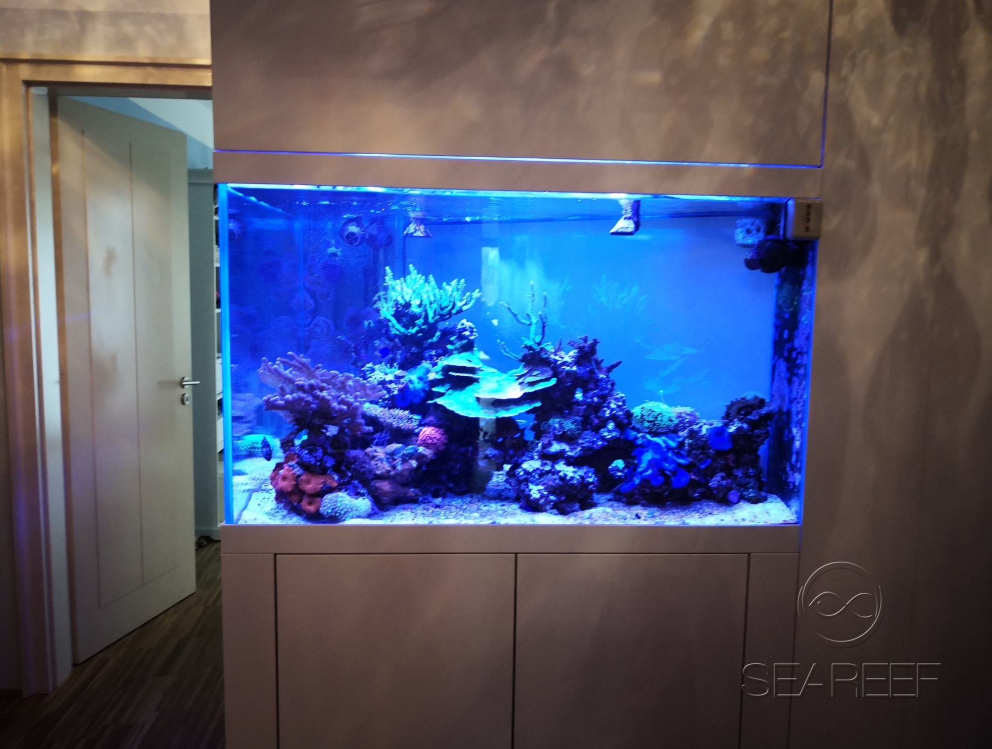 Mořské akvárium na míru doplňující design interiéru bytu obsahující korály a útesové ryby.
