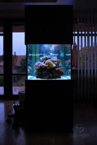 Mořské akvárium na míru o objemu 700 litrů.