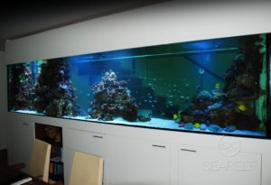 Mořské akvárium na míru doplňující design interiéru.