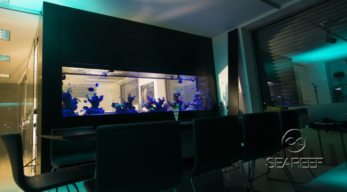 Mořské průhledové akvárium v kanceláři společnosti navržené pro korály a ryby.