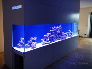 Designové mořské akvárium o objemu 1700 litrů jako dominanta obývacího pokoje.