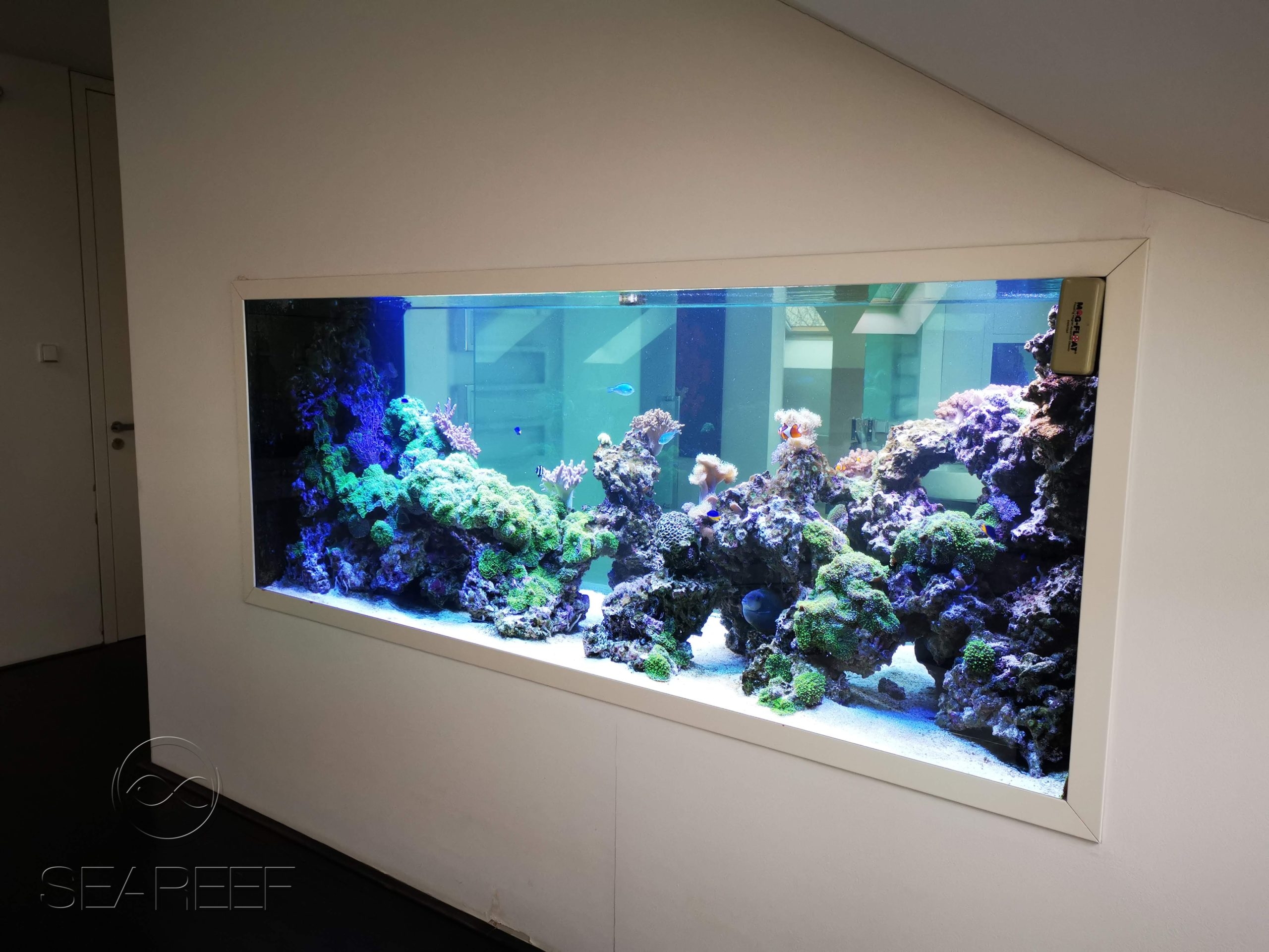 Mořské akvárium na míru interiéru o objemu 2280 litrů, s koráli a rybami.