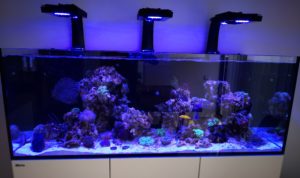 Mořské akvárium - komplet Red Sea reefer 450