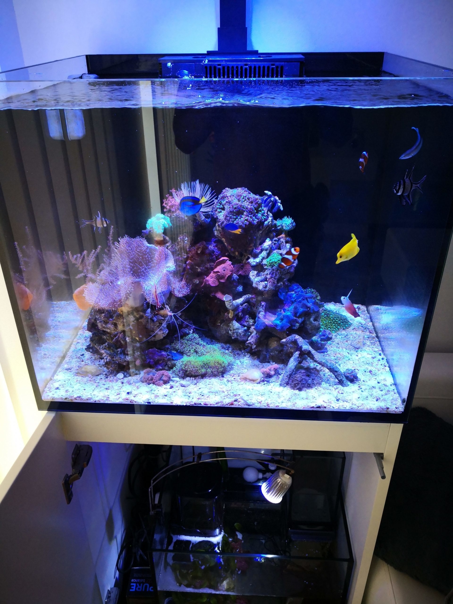 Mořské akvárium - komplet Red Sea reefer 170
