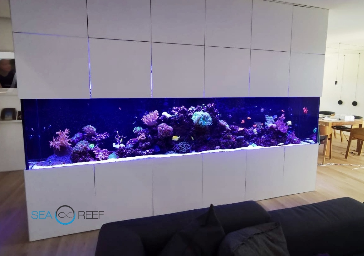 Designové mořské akvárium o objemu 1700 litrů jako dominanta obývacího pokoje.